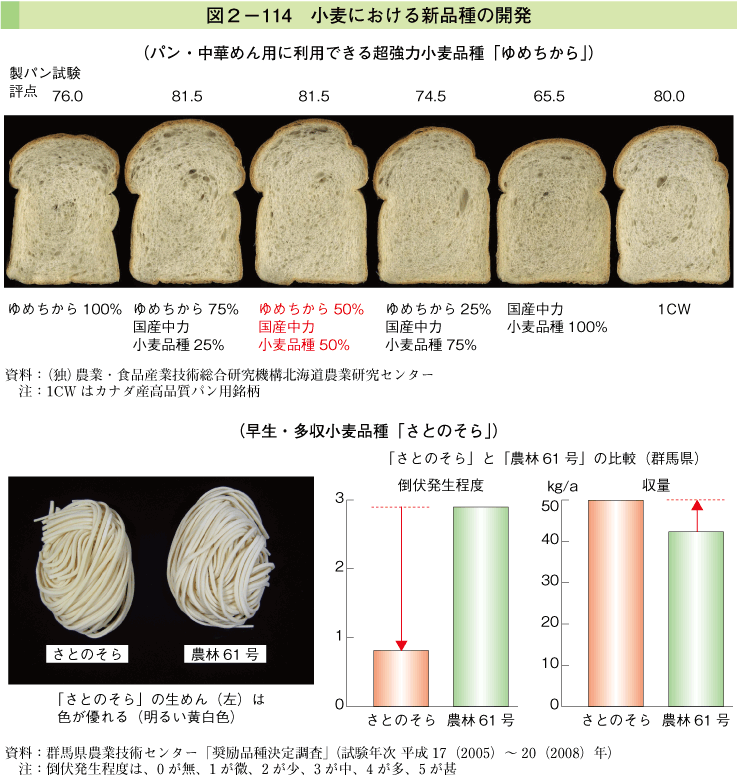 図2-114 小麦における新品種の開発