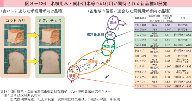 図3-126 米粉用米・飼料用米等への利用が期待される新品種の開発