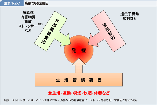 図表1-2-7 疾病の発症要因