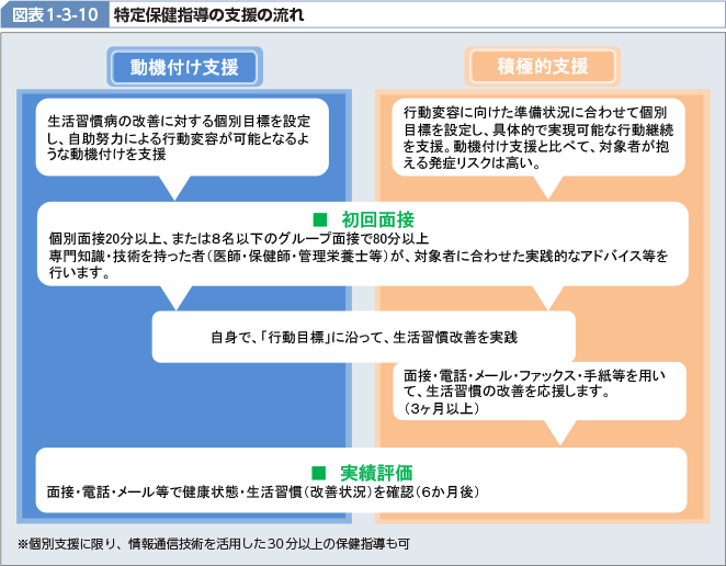 図表1-3-10 特定保健指導の支援の流れ