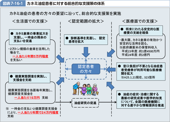 図表7-16-1 カネミ油症患者に対する総合的な支援策の体系