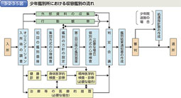 3-2-3-5図　少年鑑別所における収容鑑別の流れ