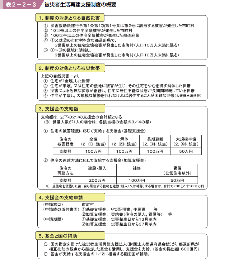 表２−２−３ 被災者生活再建支援制度の概要