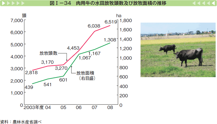 図Ⅰー34 肉用牛の水田放牧頭数及び放牧面積の推移