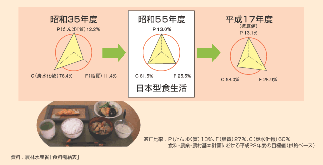 図表−9　日本型食生活のすすめ