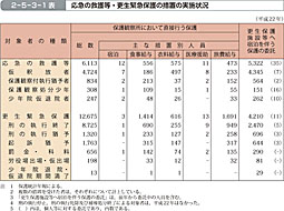 2-5-3-1表　応急の救護等・更生緊急保護の措置の実施状況