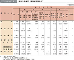 3-1-3-6表　審判決定状況（鑑別判定区分別）