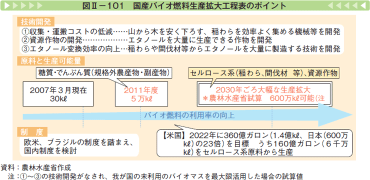 図Ⅱー101 国産バイオ燃料生産拡大工程表のポイント