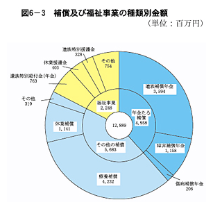 図６-３　補償及び福祉事業の種類別金額