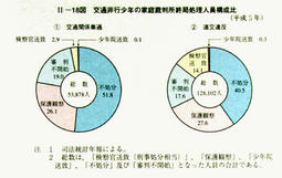 II-18図　交通非行少年の家庭裁判所終局処理人員構成比(平成5年)