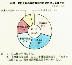 II-19図　虞犯少年の家庭裁判所終局処理人員構成比(平成5年)