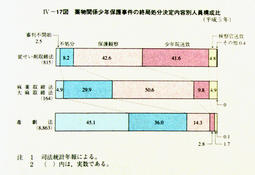 IV-17図　薬物関係少年保護事件の終局処分決定内容別人員構成比(平成5年)