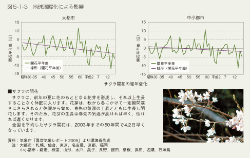 図5-1-3 地球温暖化による影響