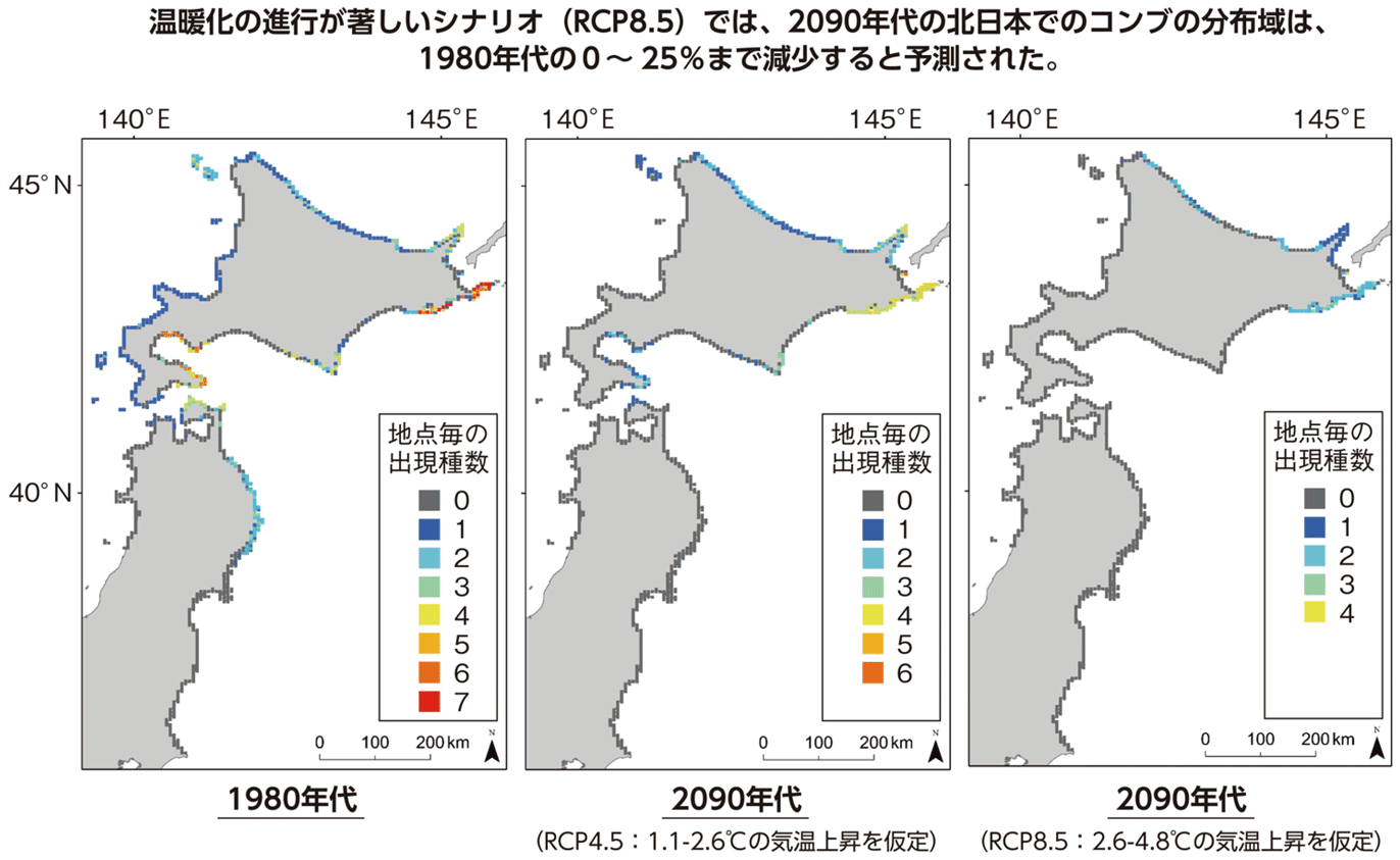 図表3-23 北日本におけるコンブ類11種の種多様性の変化予測