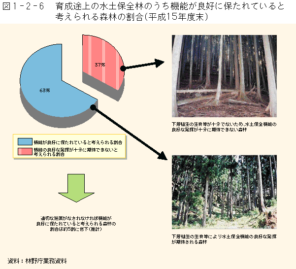 1-2-6図　育成途上の水土保全林のうち機能が良好に保たれていると考えられる森林の割合（平成15年末）