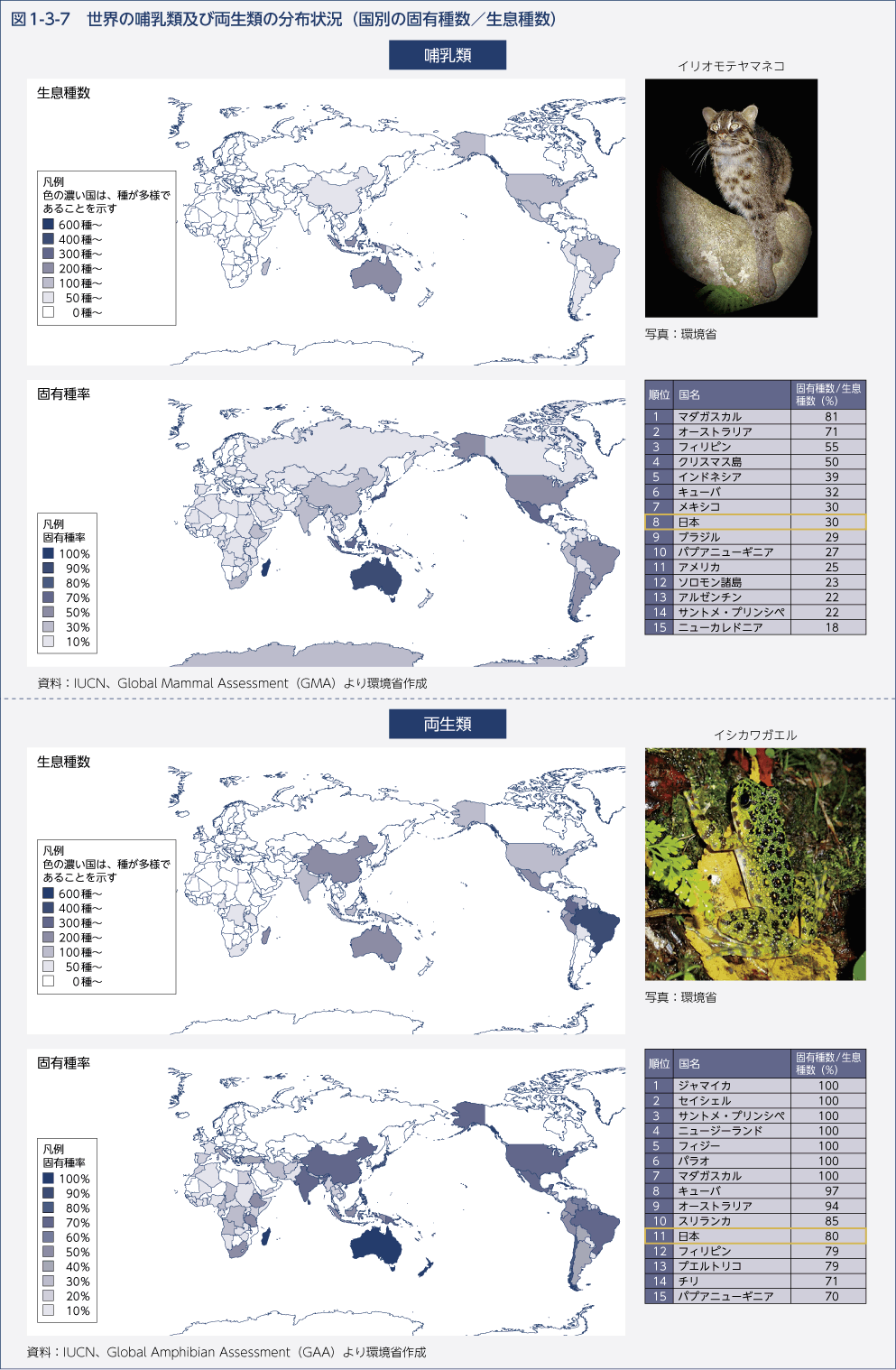 図1-3-7 世界の哺乳類及び両生類の分布状況（国別の固有種類／生息種数）