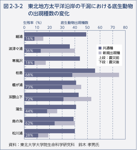 図2-3-2 東北地方太平洋沿岸干潟における底生動物の出現種数の変化