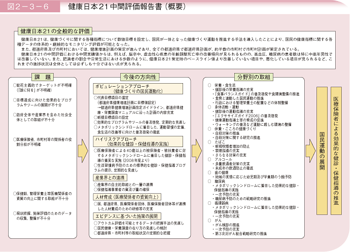 図2－3－6 健康日本21中間評価報告書(概要)