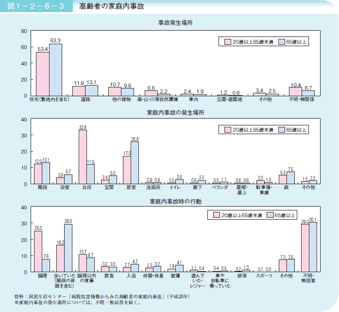 図１－２－６－３ 高齢者の家庭内事故