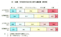 III-85図　今の自分の生き方に対する満足度(非行性)