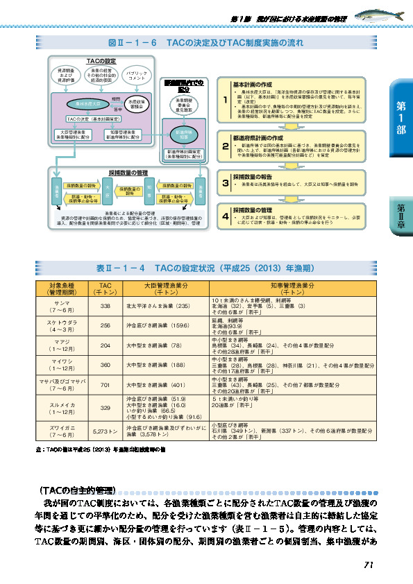 図II-1-6 TACの決定及びTAC制度実施の流れ